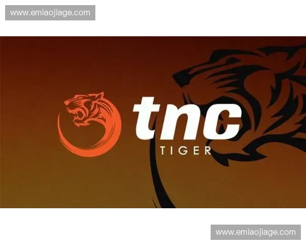 重返荣耀之路一次振奋人心的dota2首胜带来的团队信心与激情爆发 重返荣耀之路一次振奋人心的dota2首胜带来的团队信心与激情爆发